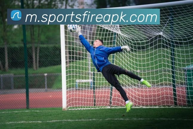 球赛投注服务体系