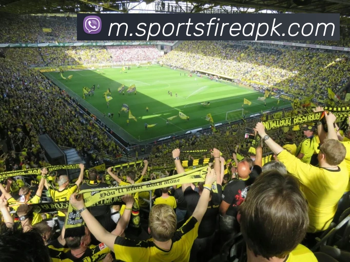 App功能展示图